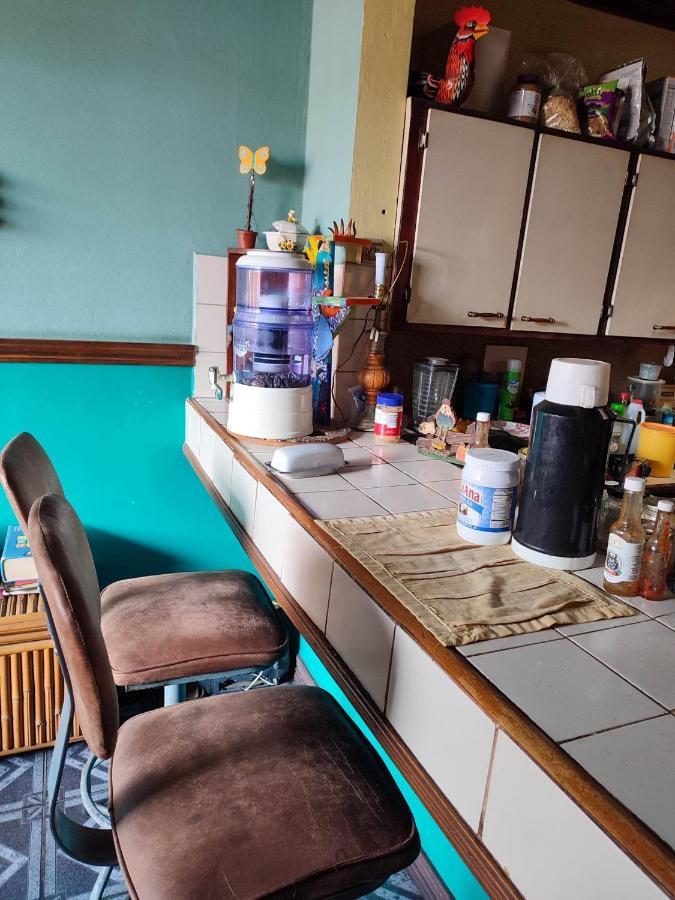 The Cozy Cactus House B&B Cartago Centro English Spoken Bagian luar foto